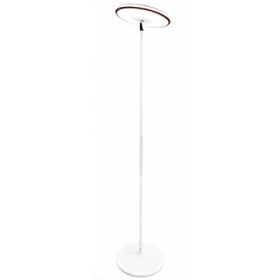 China Modern LED Floor Lamp / RGB Light Light With Remote Control Home Atmosphere 2019 New for sale