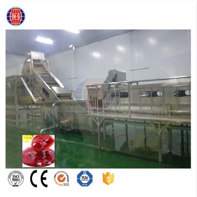 China Full Automatic Industrial Vegetable Processing Plant WS Fruit Jam Making Machinery Equipment Production Line for sale