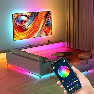 China RGBIC 55-65inch Theme Park/Home Sync Sensing Tuya Wifi App Google Alexa Voice Control Strip Immersion LED TV Backlight With Camera for sale