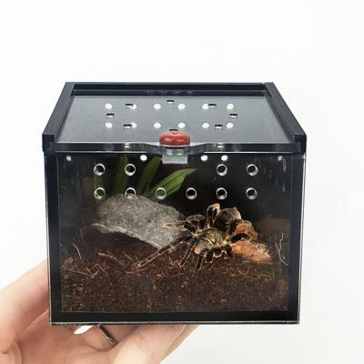 China Viable Clear Acrylic Insect Breeding Box Fit For Spider Tarantula Nail for sale