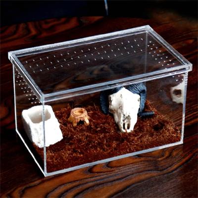 China Viable Acrylic Small Insect Pet Reptile Cage Crate Breeding Spider Box for sale