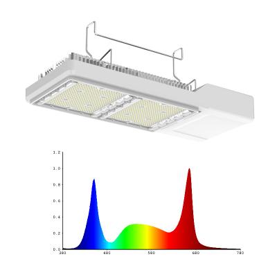 China Seed Starting Newest Design High Efficiency LED Grow Light Full Spectrum 800w LED Lights For Indoor Led Grow Light Bar for sale