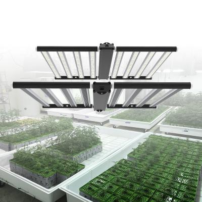 China Seed Seeding Wholesale Indoor Plants Grow Light 1000w Led Dimming 6x6ft Full SepctrumLED Grow Lights for sale