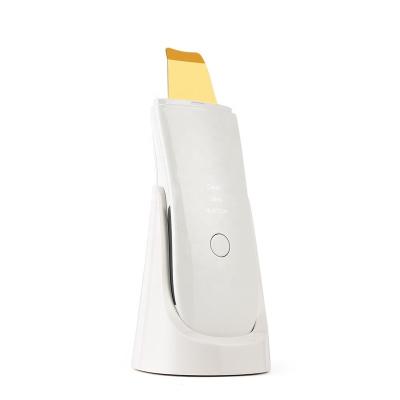 China 24kHz Gold Ultrasonic Skin Deep Cleansing Scrubber with Nano Mist Moisturizing Pore Device Deep Cleansing Facial Peeling Exfoliating Machine for sale