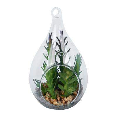 China Home OEM Customize Manufacturers Glass Bulb Pot Hangings Succulents and Aloe Plants, Artificial Succulent Plants for sale