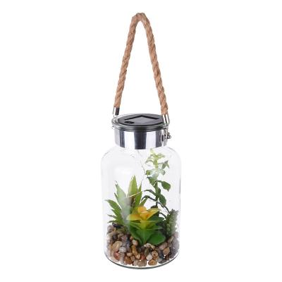 China Greenhouse Home Gardening OEM Customize Manufacturers & Aloe Bottle Bulb Pot Glass Hangings Solar Succulent Plants, Artificial Succulent Plants for sale