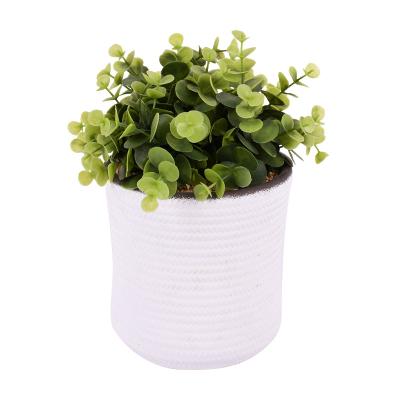 China Outdoor OEM Customize Manufacturers Mini Artificial Plants High Quality Plastic Plants Flower For Home Decoration for sale