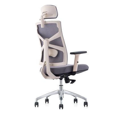 China Adjustable Ergonomic Office Chair (Height) Mesh Swivel Computer Chair Adjustable Gray Waist Lumbar Support for sale