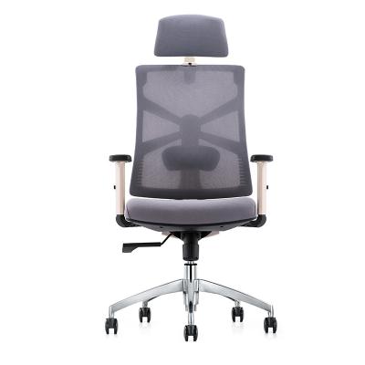 China (Size) Adjustable Black Mesh Ergonomic Office Chair Adult Computer Chairs With Adjustable Armrest for sale