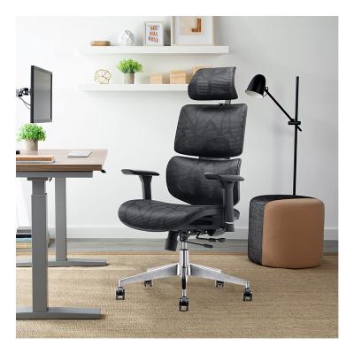 China (Size) Mesh Staff Chair Adjustable Multifunctional Computer Desk Chairs Ergonomic Task Swivel Office Chair for sale