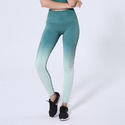 China Breathable Yoga Sets Fitness Sports Gym Sportswear Women Workout Leggings Quick Dry Breathable Leggings for sale