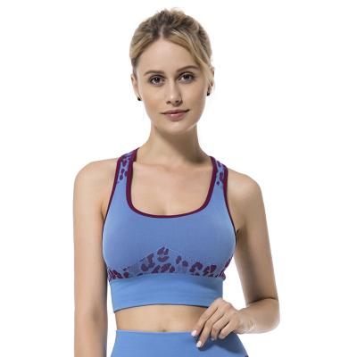 China Breathable Yoga Sets Fitness Sports Gym Sportswear Women Sports Bra Workout Bra Workout Bra Quick Dry High Impact for sale