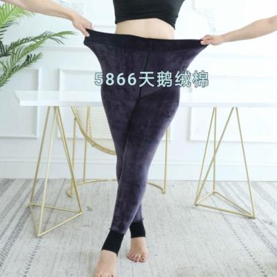 China Antibacterial Velvet 350g Elastic High Thicken Plus Size Stockings Women Winter Pantyhose Pantyhose for sale