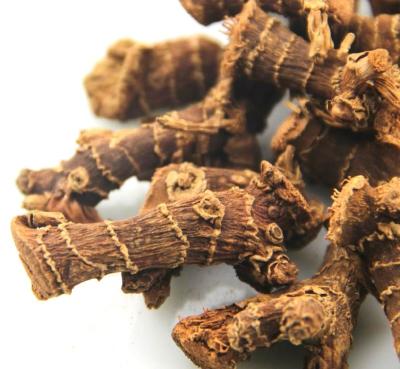 China dry galangal for sale