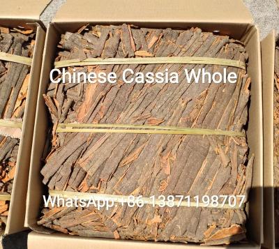 China Chinese dry cassia, cinnamon, split, whole, tube, broken for sale