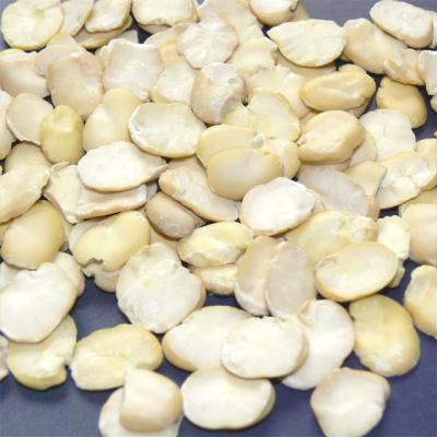 China Wide Dry Split Bean for sale