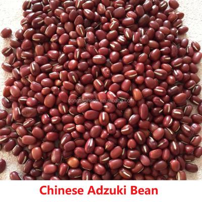 China Small dry red bean for sale