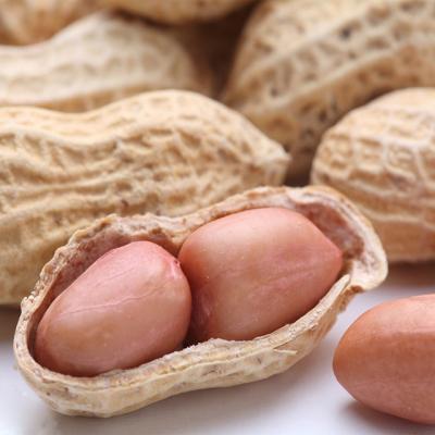 China common peanut for sale