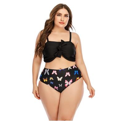 China New Plus Size High Quality Sexy Ruffle-Strap Print Bikini High Quality Sexy Ruffle-Strap Lace Swimwear Set Beach Crop Top Two-Piece Swimwear Set for sale