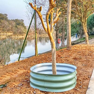 China Diy Modern Metal Tree Edging Raised Garden Ring for sale