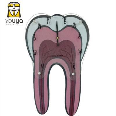 China Unique handmade tooth shape wall clock for clinic decoration for sale