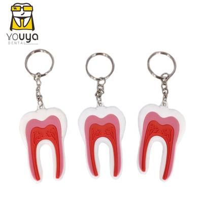 China Promotion Gift Hot Sale PVC Soft Rubber Tooth Shaped Key Chain , Dental Key Chain for sale