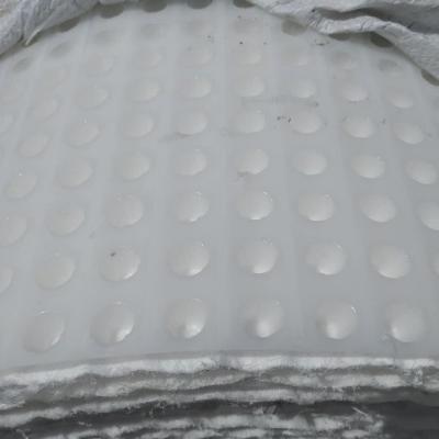 China Ausbildung vor Ort einschließlich 8-30 mm HDPE-Dimpled Plastic Drainage Sheet für die Wasserdichtung zu verkaufen