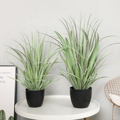 China Potted Realistic Artificial Plastic Grass Home Living Room Shop Window Decoration Artificial Flower Bonsai Plants for sale