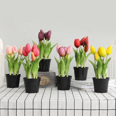 China Natural Wholesale Artificial Tulip Touch 5 Latex Plant Yiwu Touch Factory Touch Flowers Living Room Artificial Head Decoration for sale