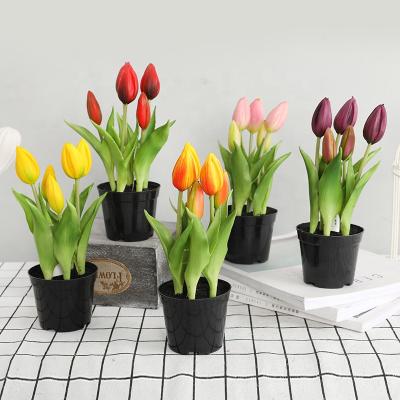 China Wholesale 5 Yiwu Factory Touch Latex Touch Feeling Artificial Tulips Tulip Shop Natural Head Window Decoration Potted for sale