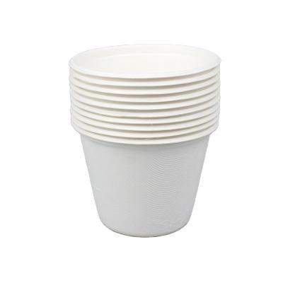 China WWL Biodegradable Bagasse Dish Disposable Sugarcane Food Container Straws Burger Clamshell Sugarcane Price Products Pulp for sale