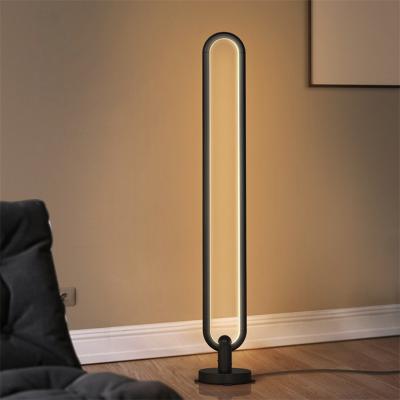 China Lighting Works 140cm Large Standing Floor Lamps Warm White Floor Lamps And Light Fixtures Corner Floor Lamp Round for sale