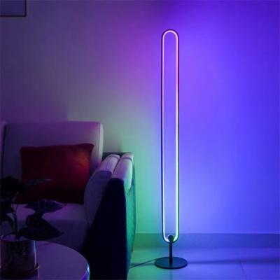 China Lighting Works Ring Antique LED Minimalist Oval Remote Control Elliptical Floor Light 140cm RGB Wall Standing Lamps for sale