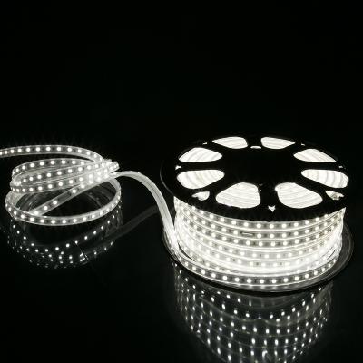 China LANDSCAPE White Led Strip Lights 110v Led Strip Light Waterproof AC 220v 50hz Direct for sale