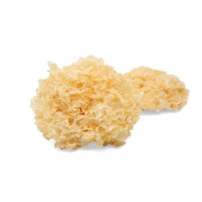 China High Quality Dry Snow White Mushroom Tremella Dry White Mushroom for sale