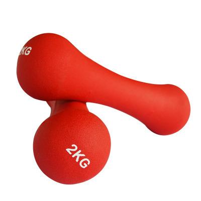 China Wholesale Custom Aerobic Women Gym Muscle Exercise Dumbbell Neoprene Vinyl Fitness Rubber Coated Bone Weighs Dumbbell for sale