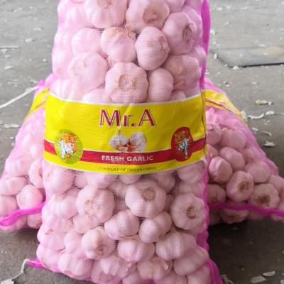 China Shandong Fresh Red Fresh Garlic for sale