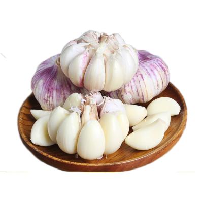 China wholesale fresh normal white red fresh garlic for sale