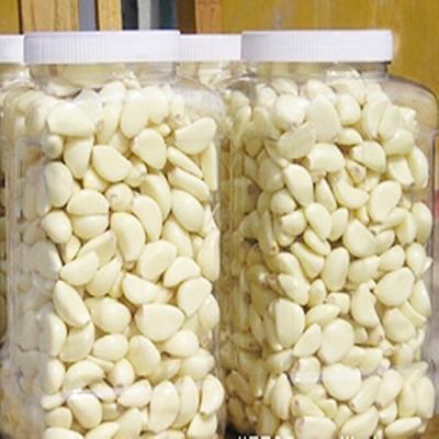 China Fresh Peeled Vacuum Packed Garlic Cloves for sale