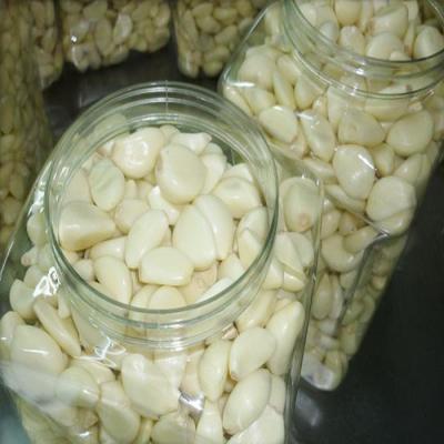 China Fresh Vacuum Bag / Nitrogen Filled Jar Packed Fresh Garlic Cloves for sale