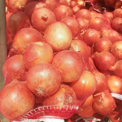 China China fresh yellow fresh onion for sale