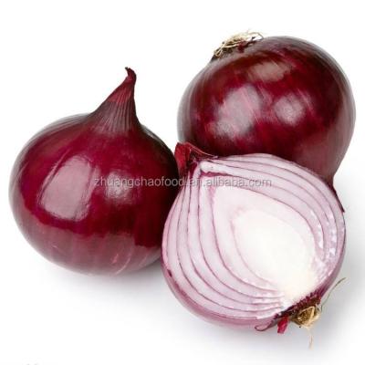 China 2020 Fresh China Wholesale Red Onion for sale