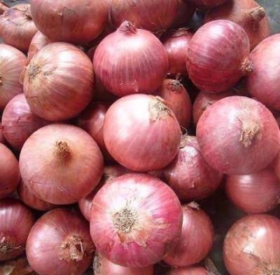 China Lowest Price Fresh Chinese Red Fresh Onion for sale