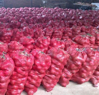 China Lowest Price Fresh Chinese Fresh Red Onion For Sale for sale