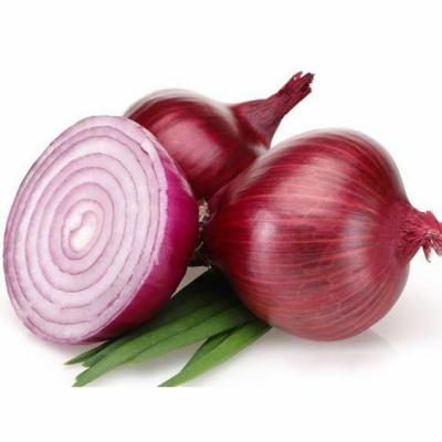 China Lowest Price Fresh Chinese Fresh Red Onion For Sale for sale