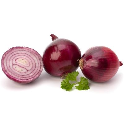 China Market price fresh small size wholesale fresh red onion for sale