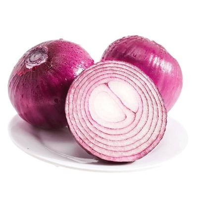 China Red onion 5-7cm fresh wholesale fresh for sale