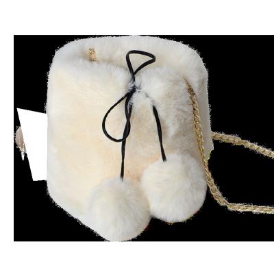 China Portable High Quality Women Fashion Cross Body Bucket Shoulder Bags Ladies Fur Plush Fur Ladies Handbags for sale