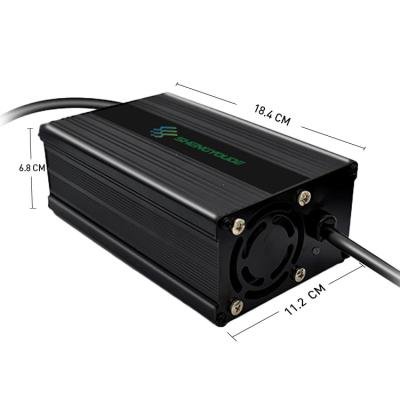 China Beach Standard Electric Car Charger Battery 14.6V 3S LiFePO4 Four Wheels Vehicles Electric Forklift for sale