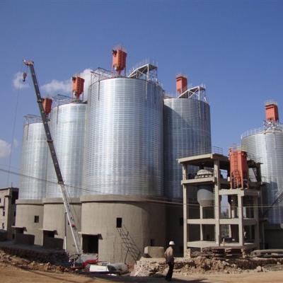 China Building Material Shops 10,000 Ton Solid Cement Spiral Steel Silo for sale